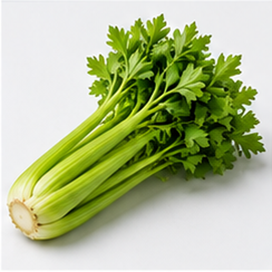Celery