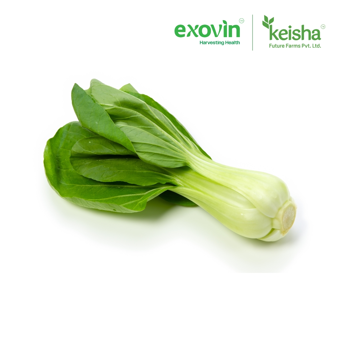 Bok-Choy