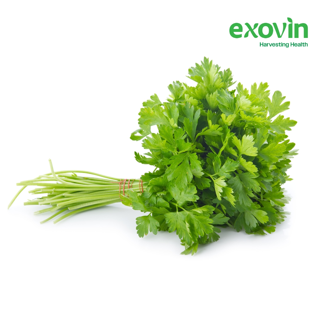 Parsley