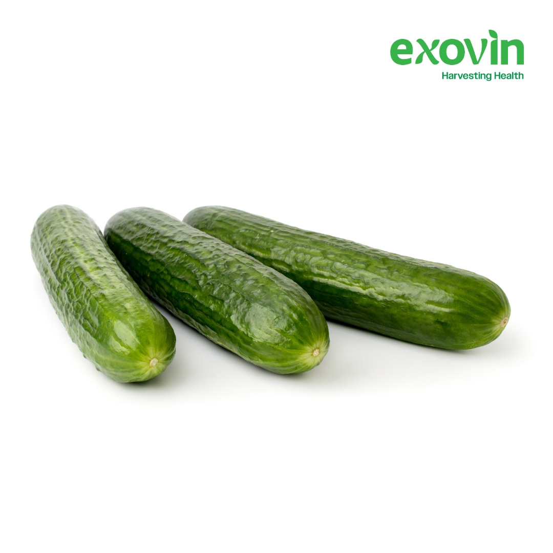 English Cucumber