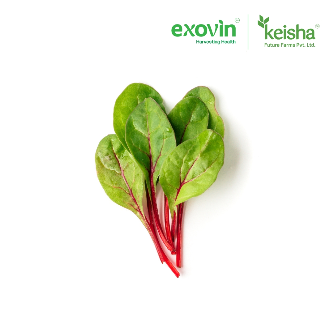 Red Swiss Chard