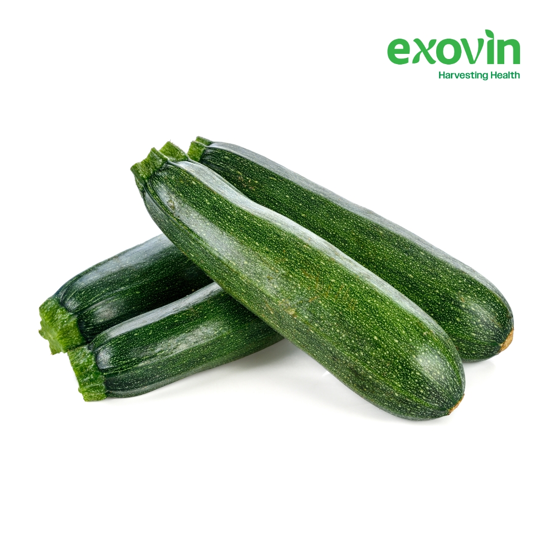 Zucchini