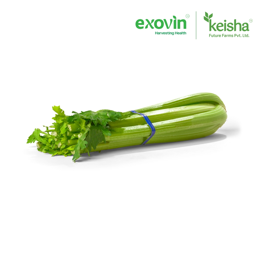 Celery
