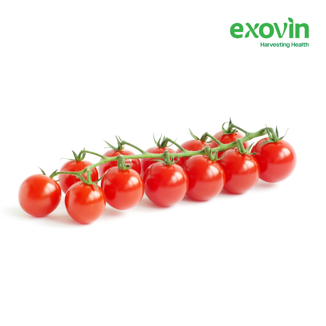 Cherry Tomatoes