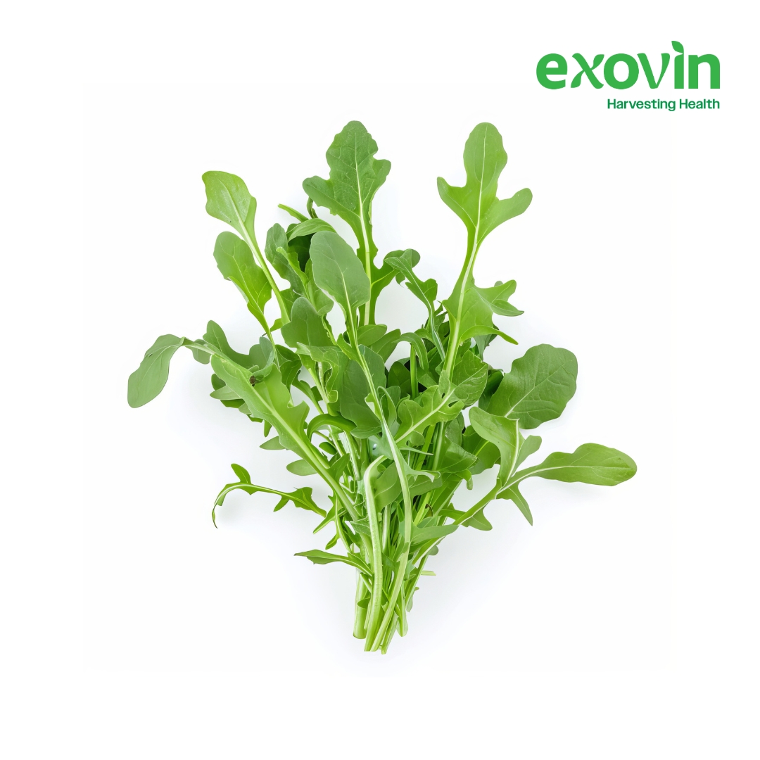 Arugula