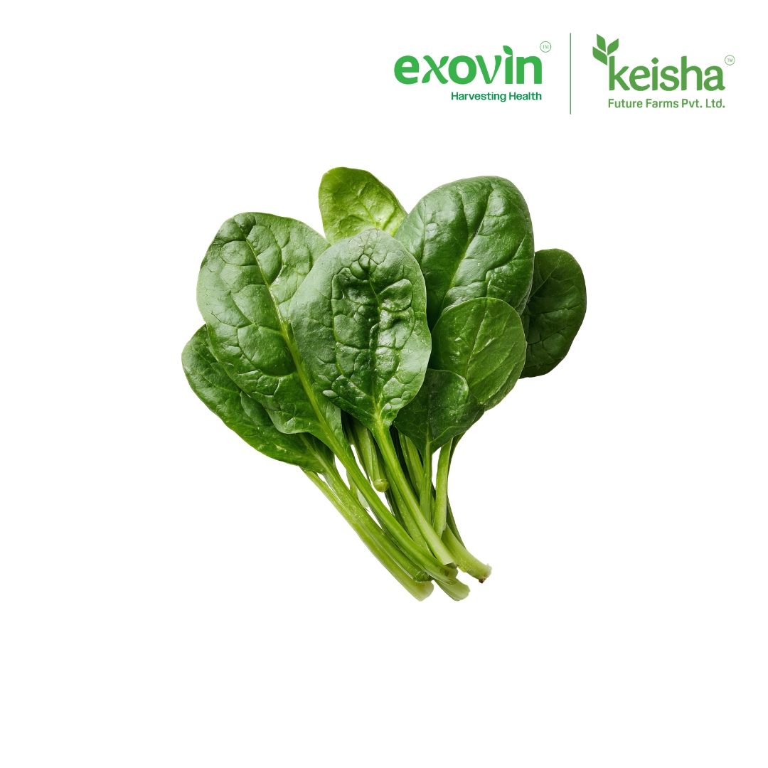 Spinach