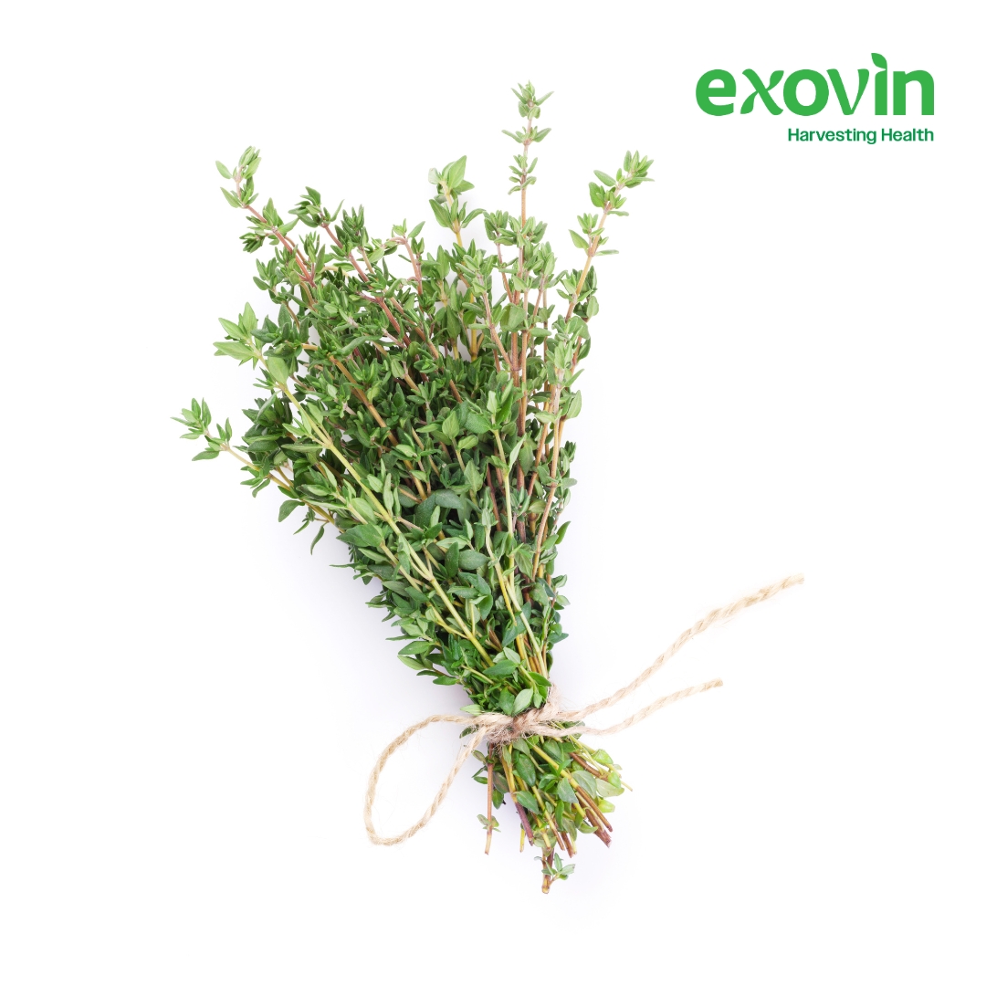 Thyme