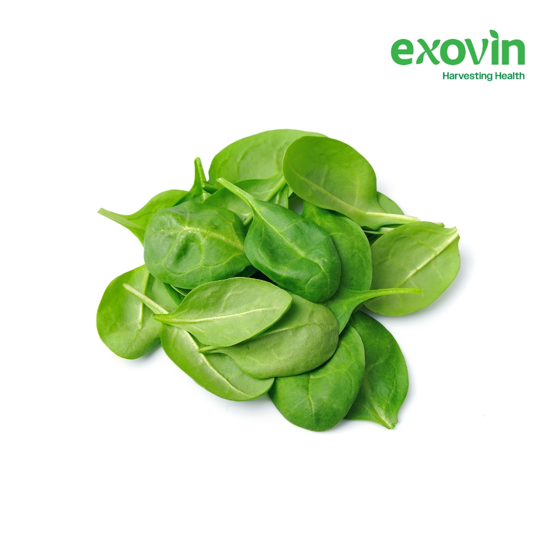 Baby Spinach
